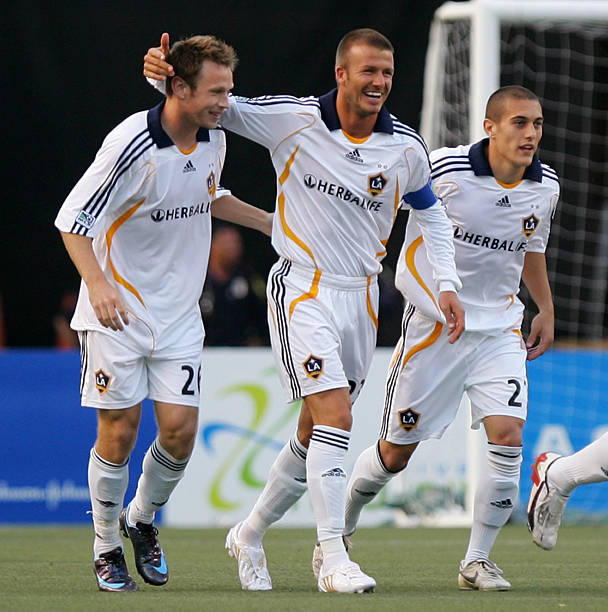 真正体会象 真正体会象