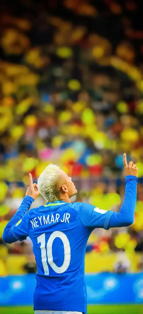 迷和媒体对 迷和媒体对